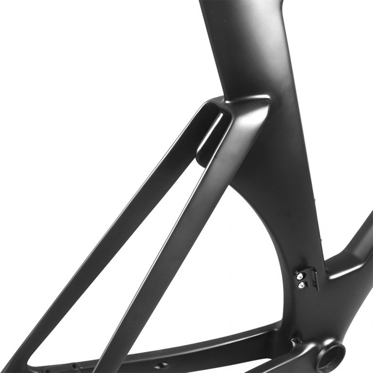 Rinasclta 2022 triathlon bike frameset rear fork aero design