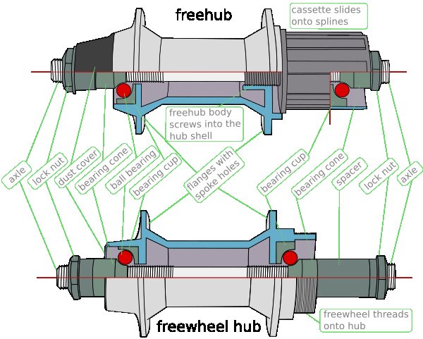 Freewheel vs freehub