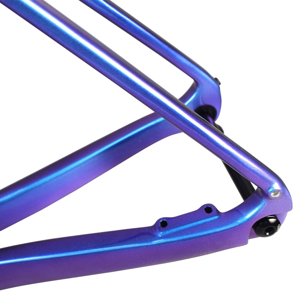 rinasclta carbon gravel bike frame chameleon flat disc brake mount