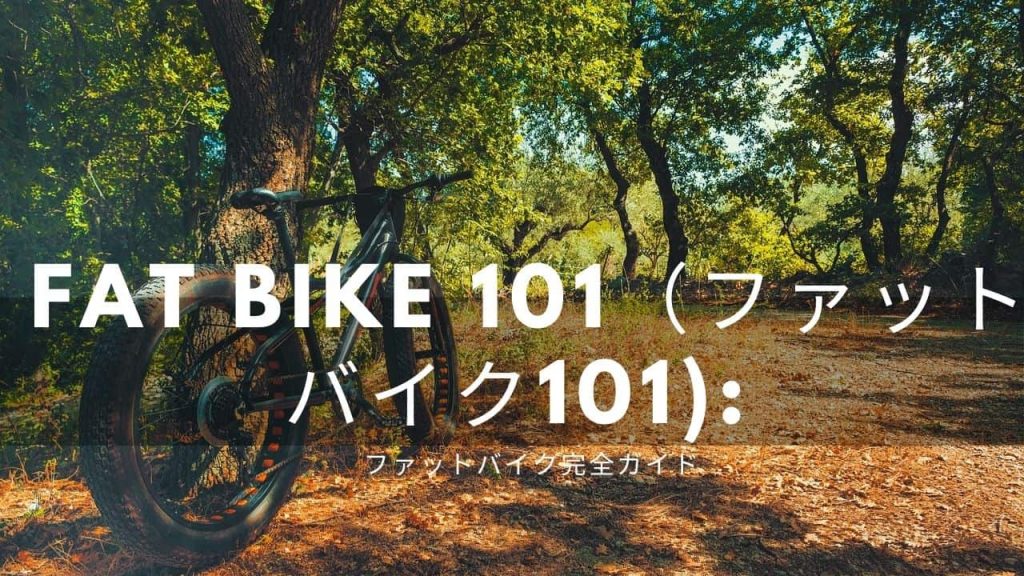 2021年更新] ファットバイク入門：完全ガイド | Rinasclta Bike