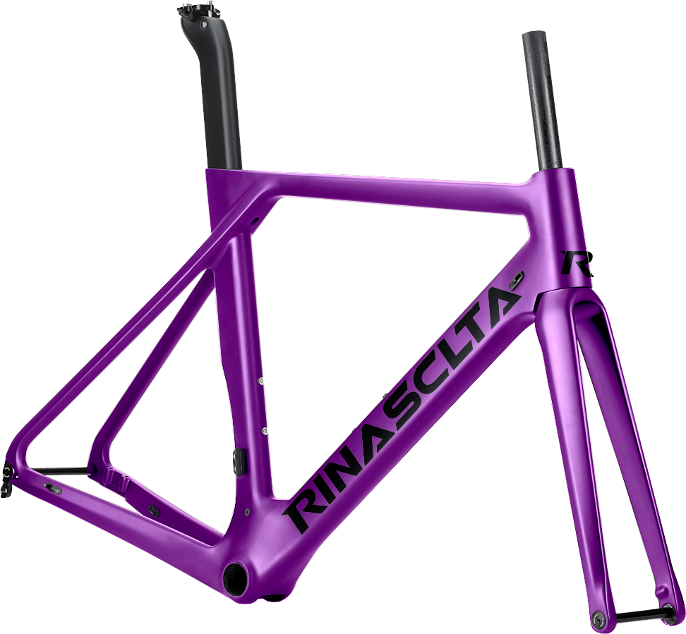 Rinasclta Project RR | Vermilion | Aero Disc Brake Road Bike Frame