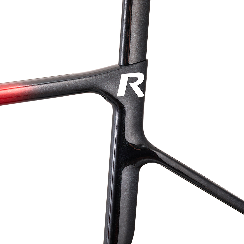 Rinasclta Granite-Aero disc road bike frameset hidden seatpost clamp