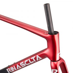 Rinasclta Granite-Aero disc road bike frameset straight headtube