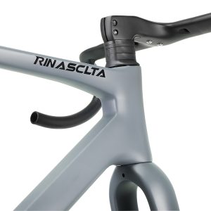 Rinasclta Gravel Bike Frameset Grey fade aero headset