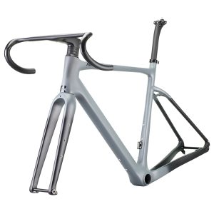 Rinasclta Gravel Bike Frameset Grey fade front