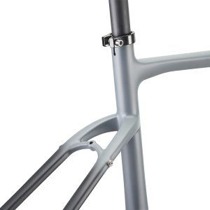 Rinasclta Gravel Bike Frameset Grey fade rear fork mount