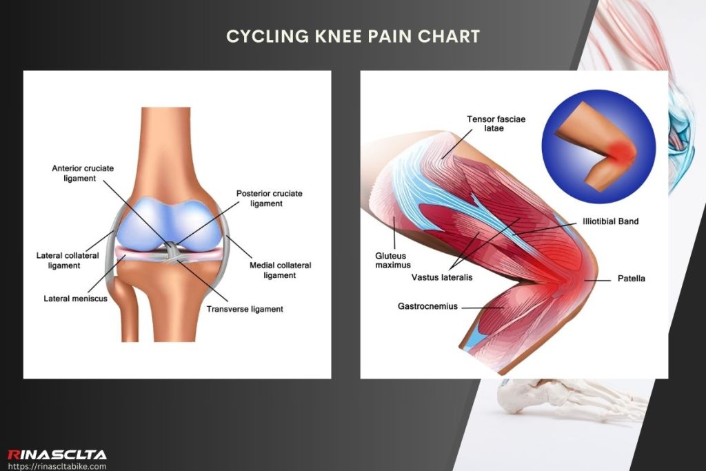 Cycling knee pain types, causes, how to prevent and treatment