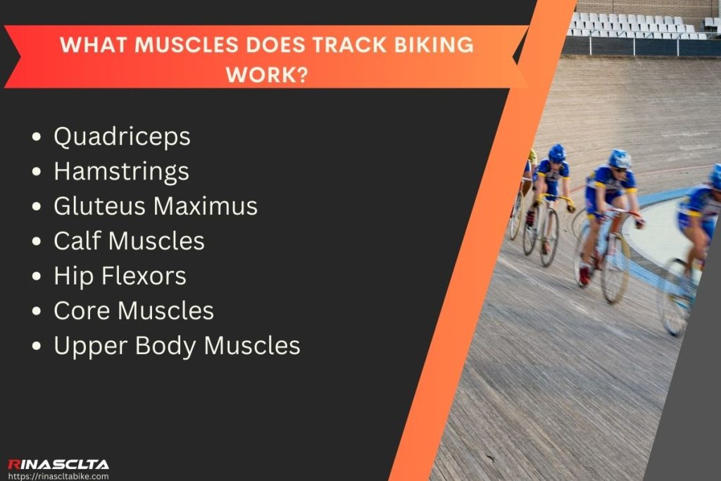 What muscles does track biking work
