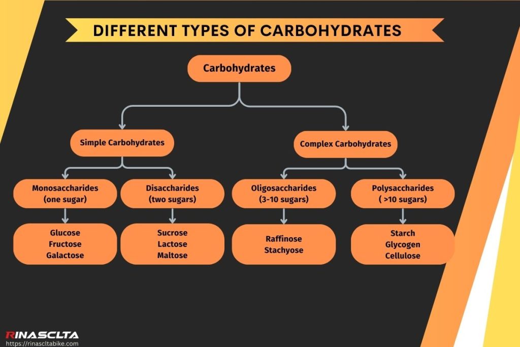 different types of carbohydrates