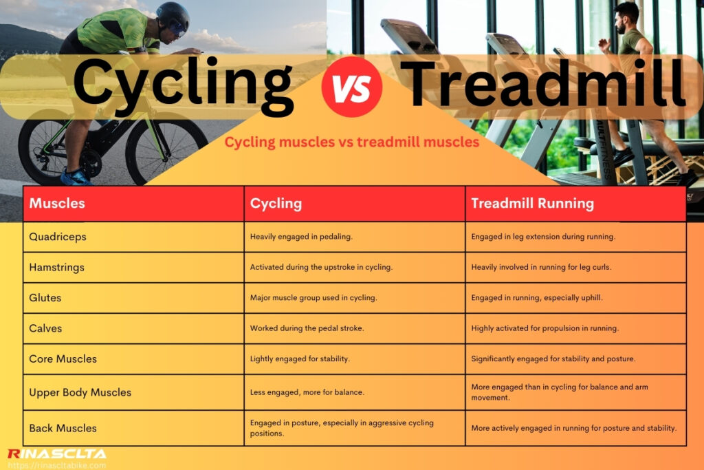 Cycling muscles vs treadmill muscles