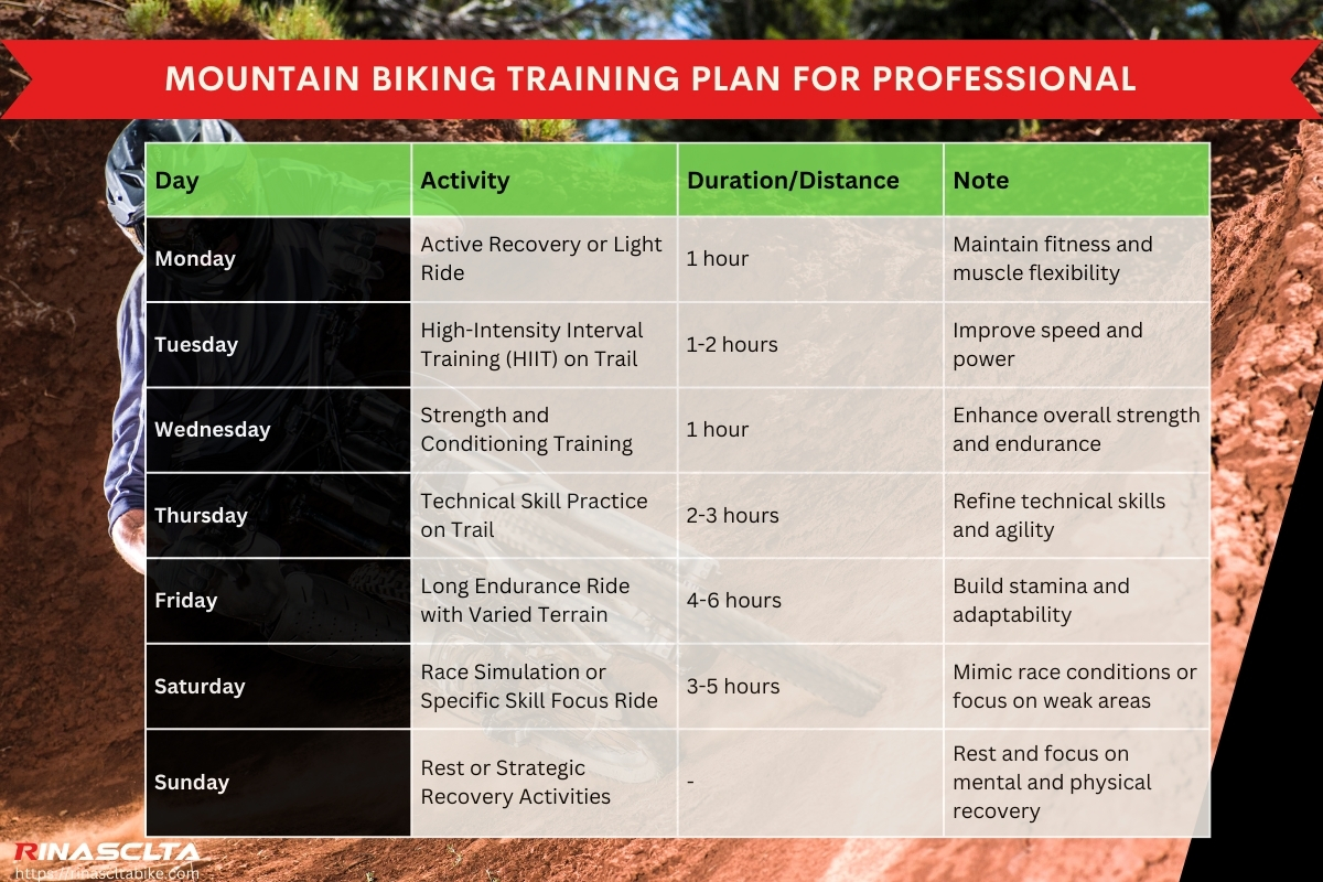 Mountain Biking What Is It Equipment Racing How To Ride And Mountain Biking What Is It Equipment Racing How To Ride And
