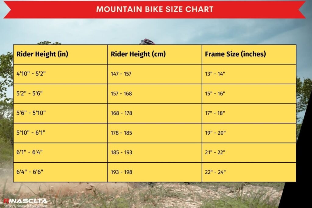 Mountain bike: what is it, how to select and maintain