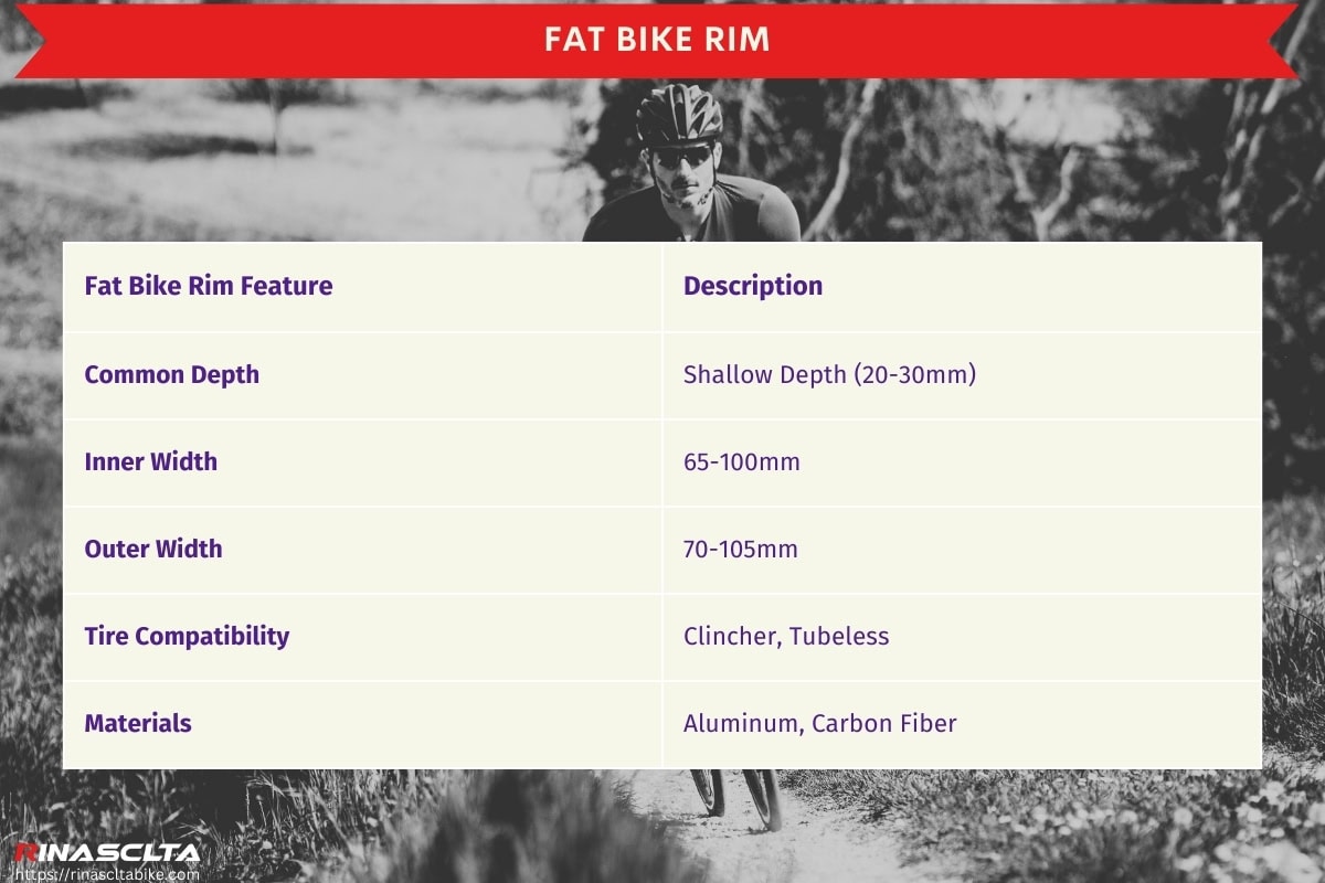 Fat bike rim