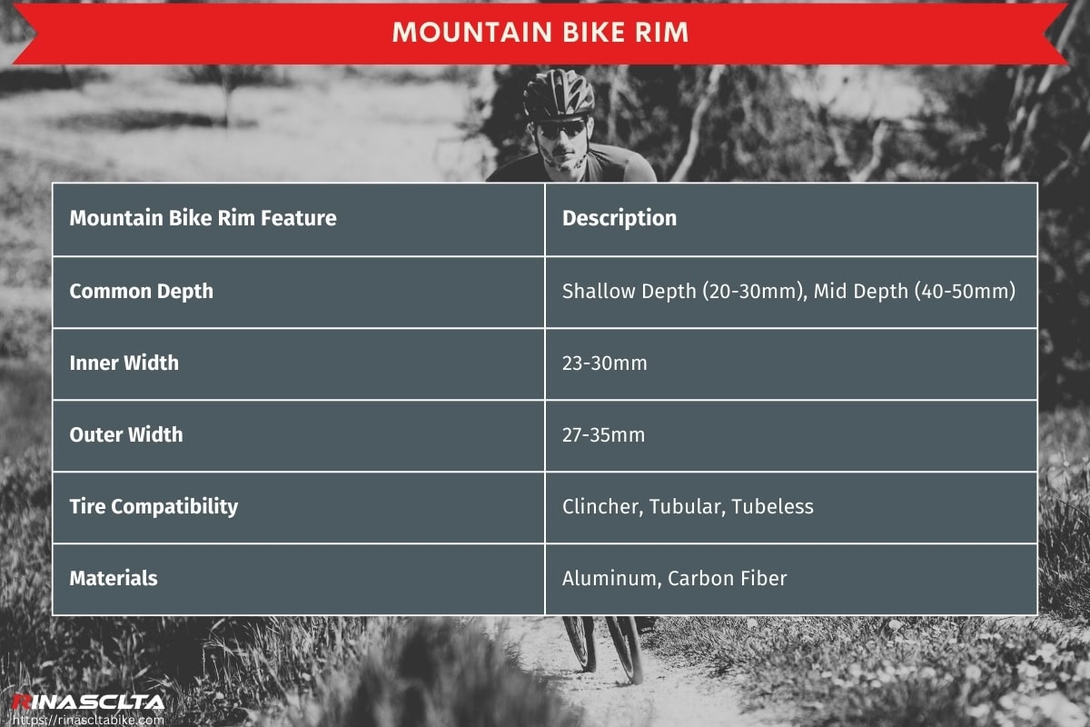 Mountain bike rim