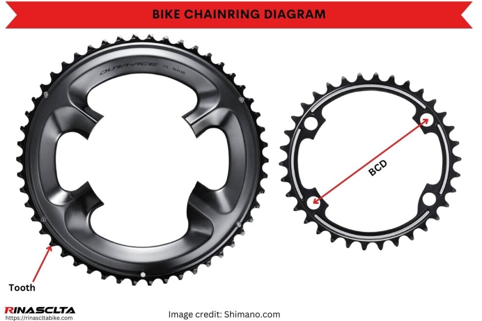 Bike chainring: definition, sizes, types and how to choose