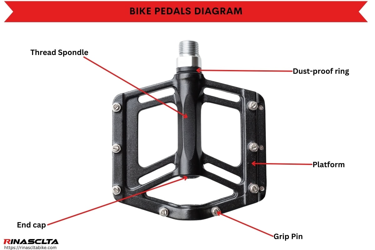 Bike pedals diagram