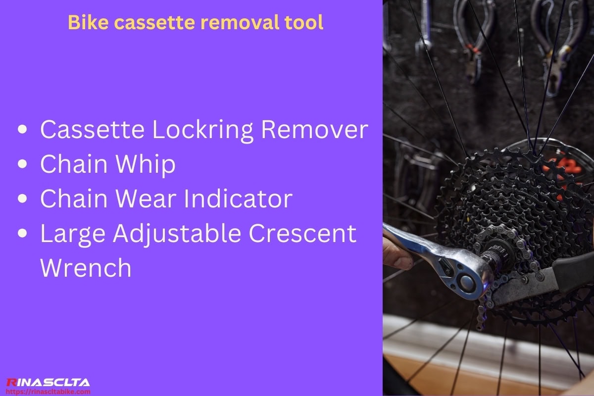 Bike cassette: definition, types, compatibility and how to choose Bike cassette removal tool