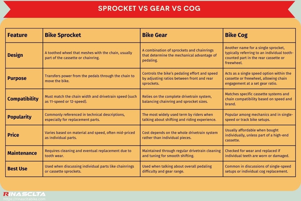 Bike cassette: definition, types, compatibility and how to choose Sprocket vs gear vs cog