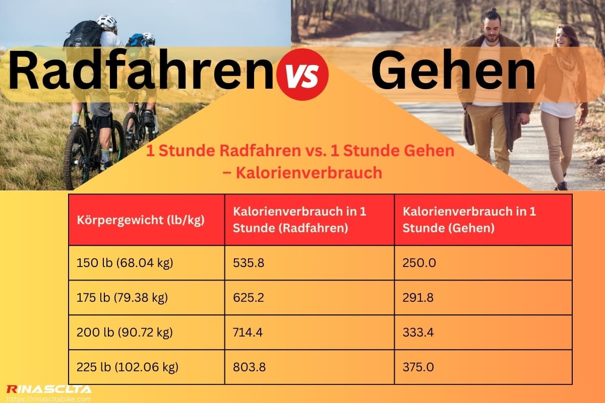 1 Stunde Radfahren vs. 1 Stunde Gehen – Kalorienverbrauch