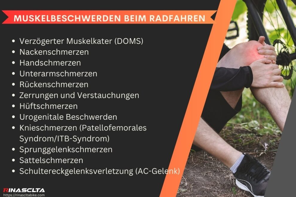 Welche Muskeln werden beim Radfahren beansprucht: bei verschiedenen