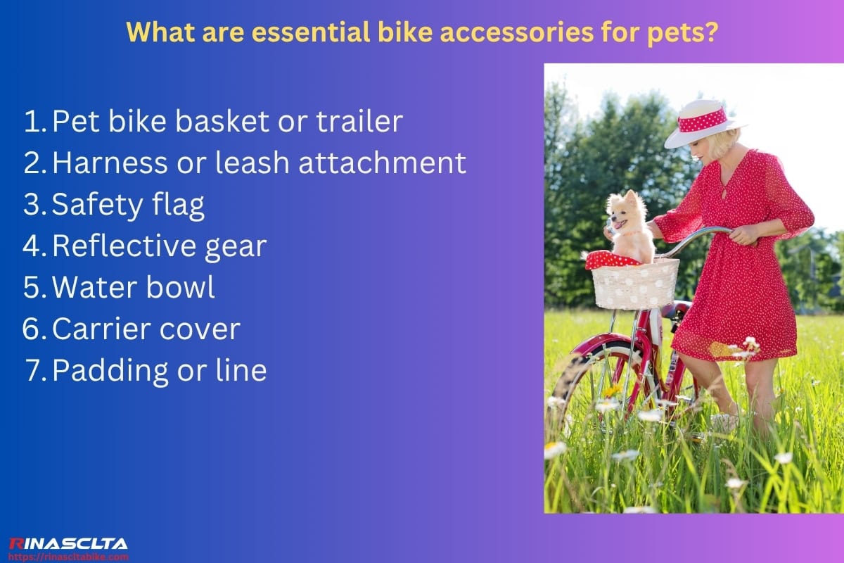 Bike accessories: definition, different categories and how to choose What are essential bike accessories for pets