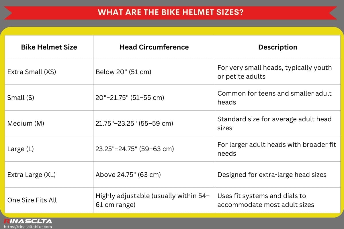 Bike helmet: definition, types and how to choose What are the bike helmet sizes
