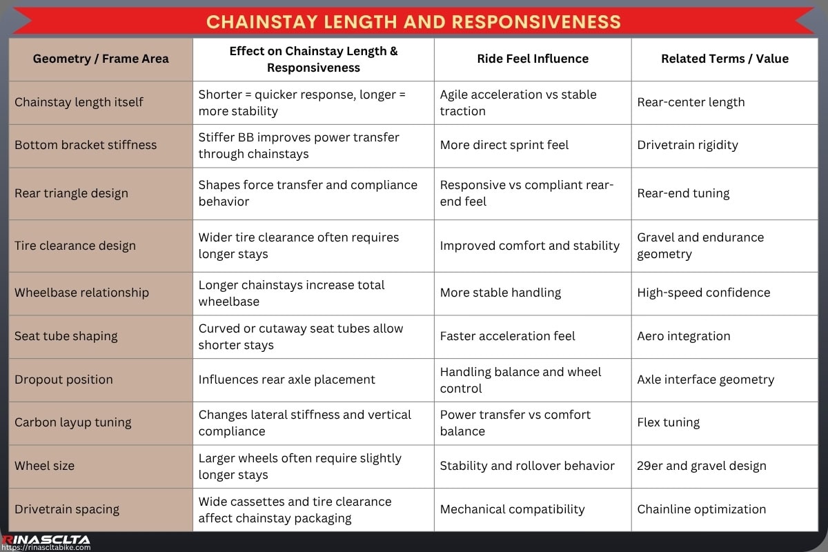 Bike Frame Engineering & Ride Feel: How Carbon Frame Design Influences Performance Chainstay length and responsiveness