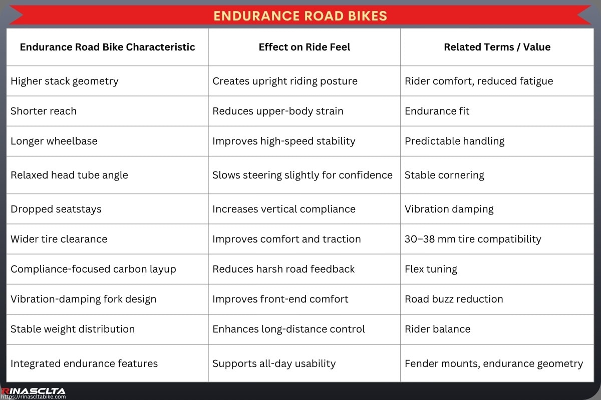 Bike Frame Engineering & Ride Feel: How Carbon Frame Design Influences Performance Endurance road bikes