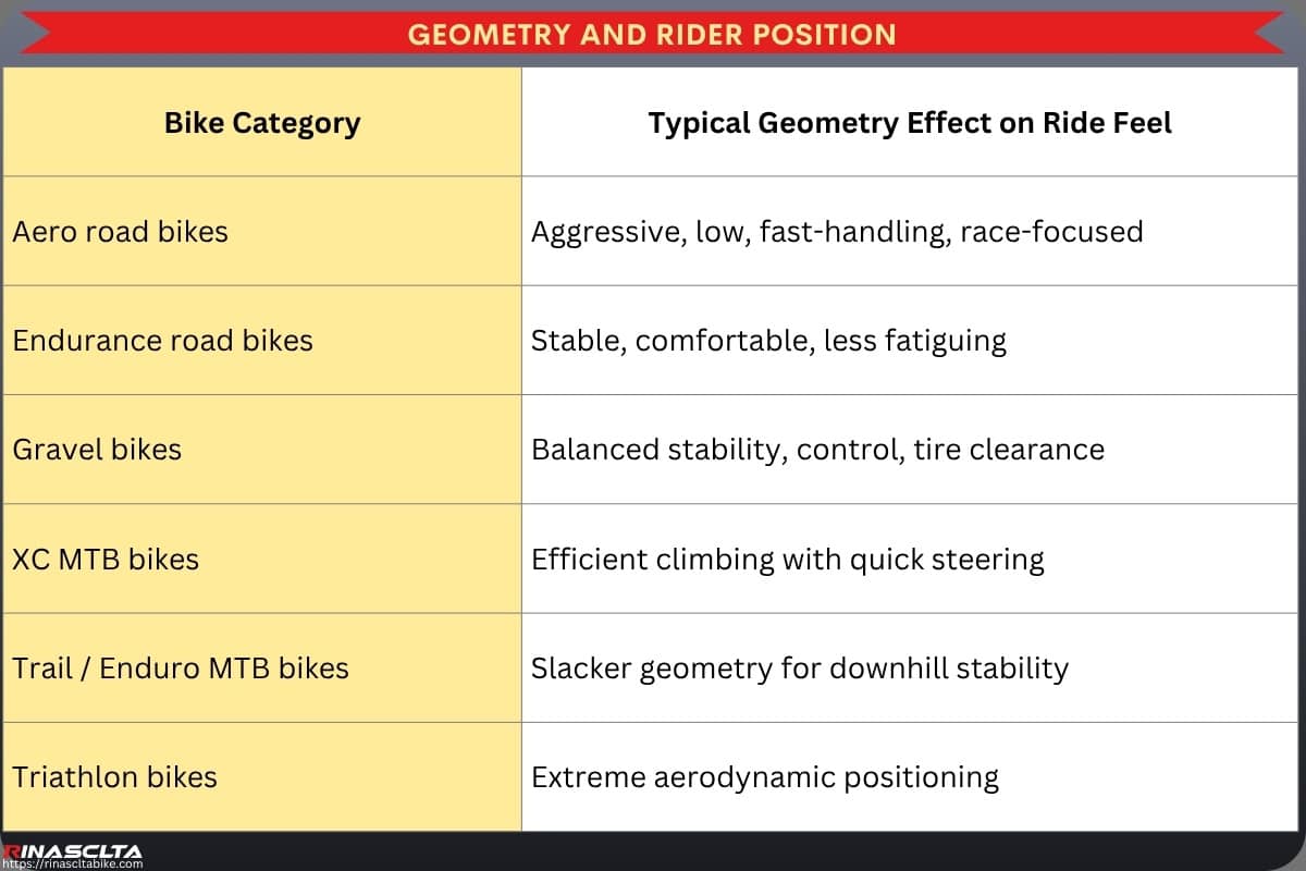 Bike Frame Engineering & Ride Feel: How Carbon Frame Design Influences Performance Geometry and rider position