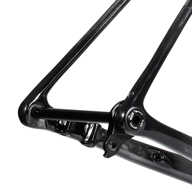 Rinasclta SL classic lightweight carbon road bike frame T47 BB UDH hanger system