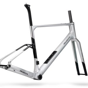 Rinasclta Q-Aero GR carbon gravel bike frame T47 UDH for bikepacking