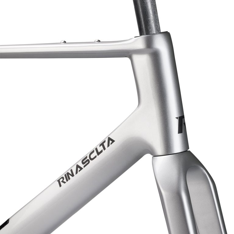 Rinasclta Q-AERO GR | Carbon Gravel Bike Disc Brake Frameset | T47+ UDH Rinasclta Q-Aero GR carbon gravel bike frame T47 UDH straight headtube