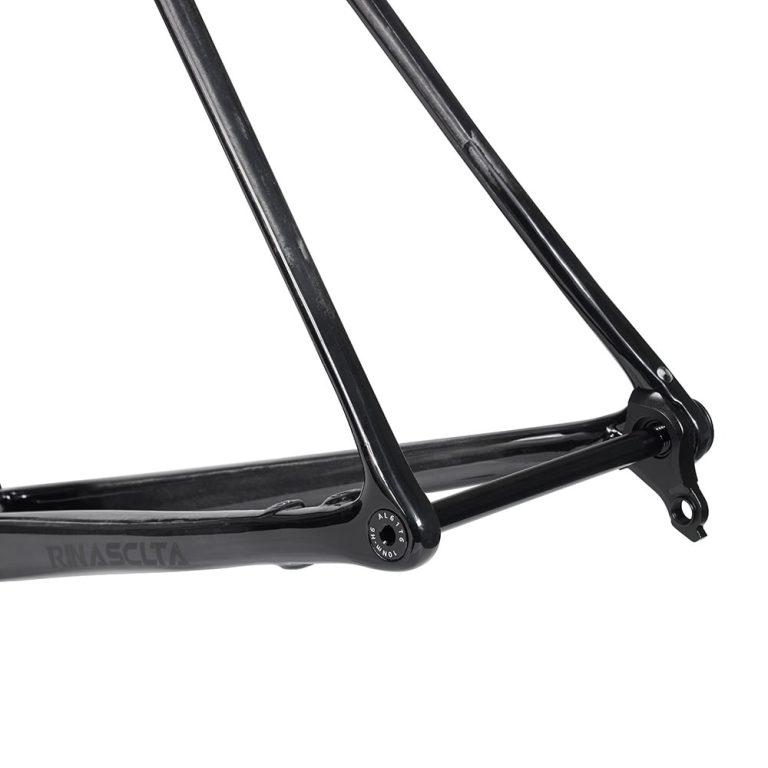 Rinasclta SL classic lightweight carbon road bike frame T47 BB UDH hanger