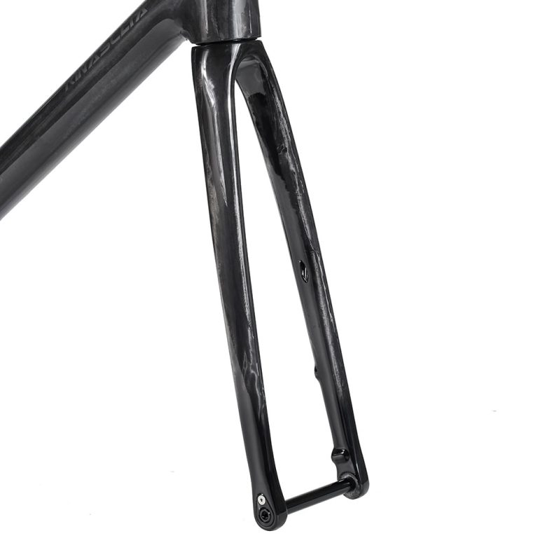 Rinasclta SL classic lightweight carbon road bike frame T47 UDH full internal cable route