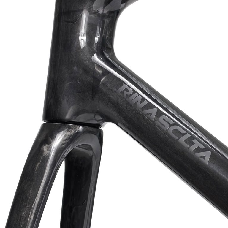 Rinasclta SL classic lightweight carbon road bike frame T47 thread custom label