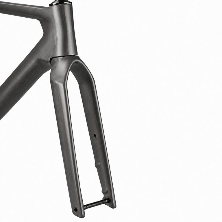 Rinasclta X-AERO Frameset | Carbon Aerodynamic Bike Disc Brake Frameset | T47+ UDH Rinasclta X-AERO road bike frameset aero fork